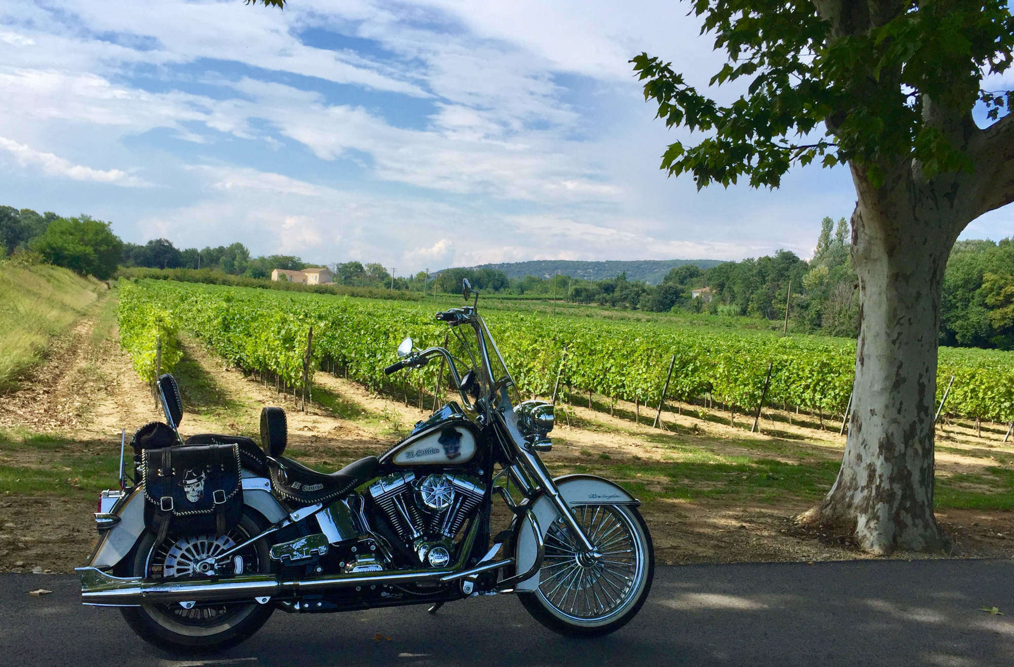 A picture of a motorcycle in front of a field of crops.