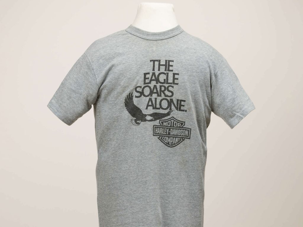 Eagle Soars Alone t-shirt