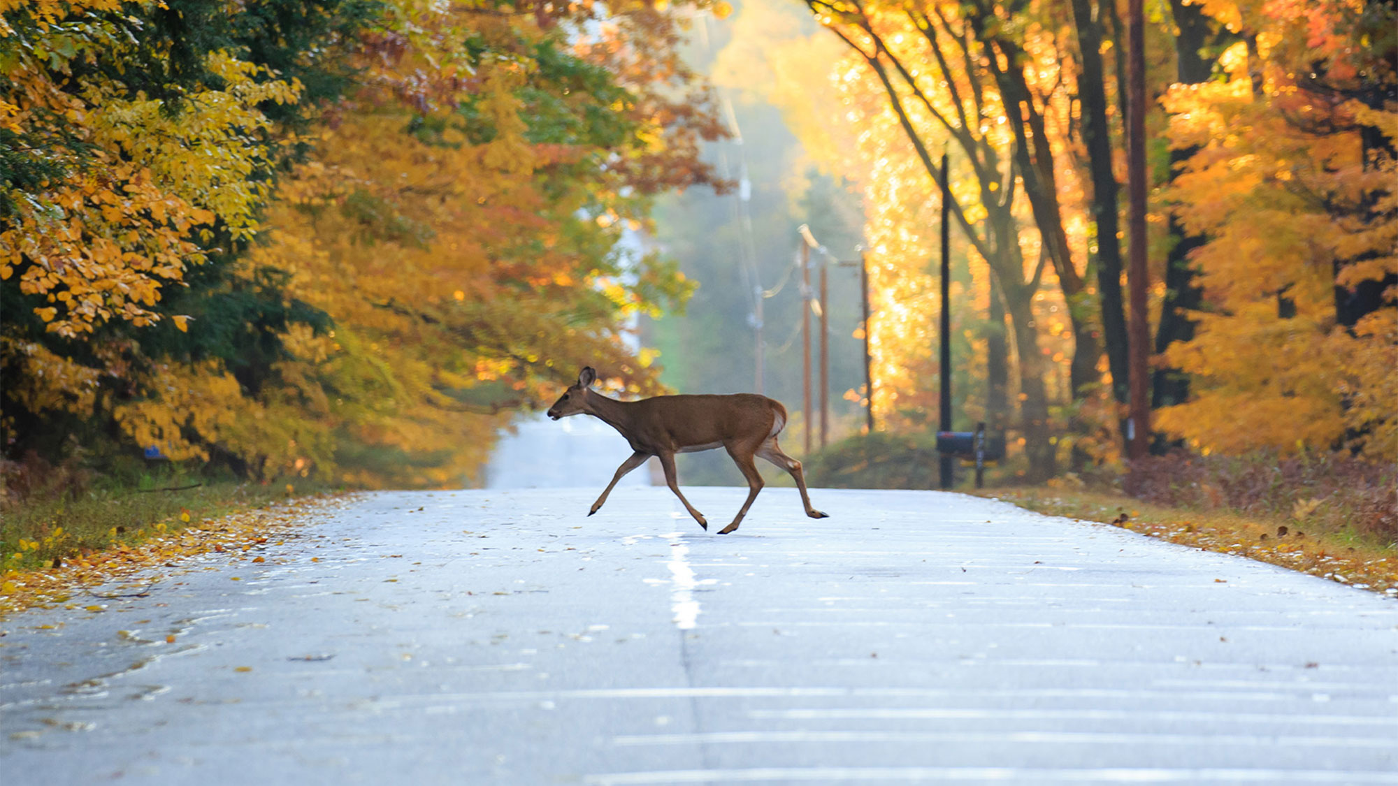 Riding tips for avoiding obstacles