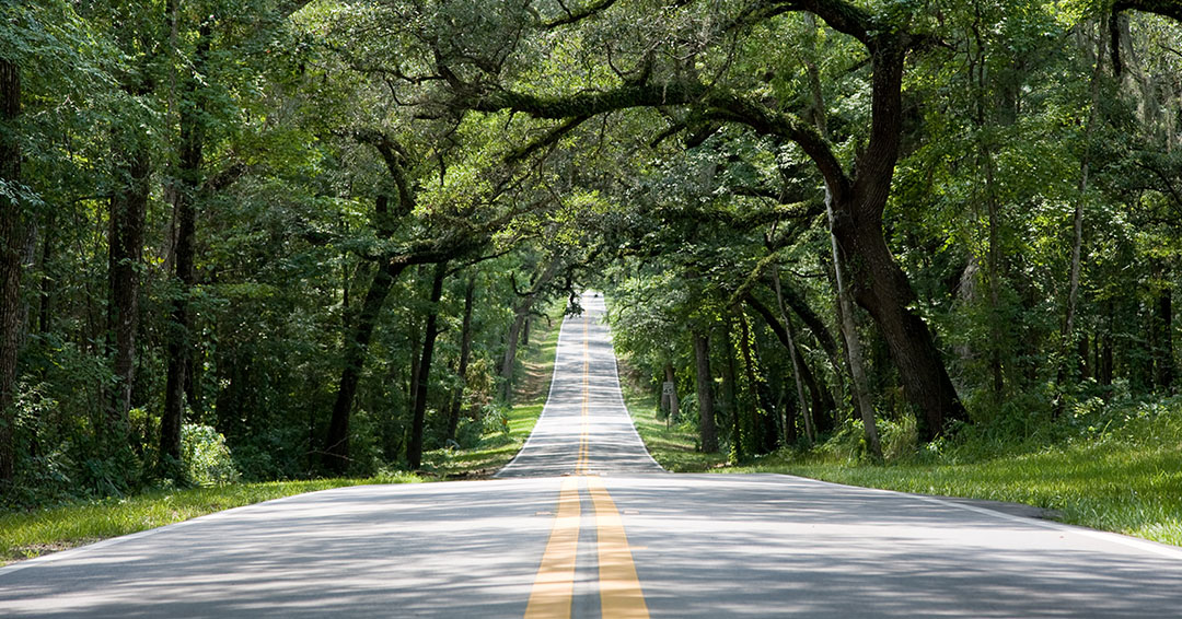 Ormond scenic loop and trial
